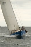 scintilla of the sea 920y whw10 sun rmc 4867